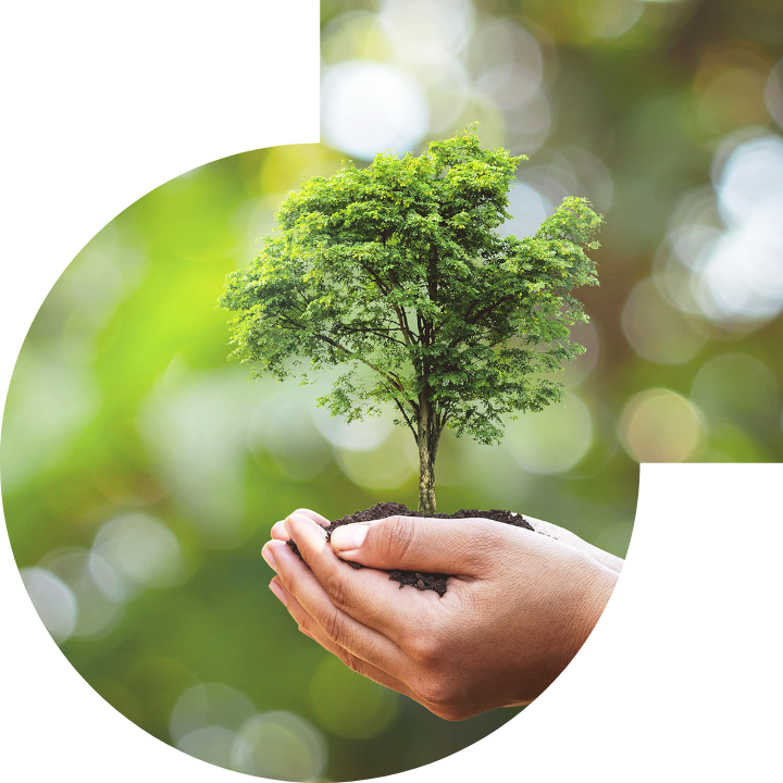 关怀人类、文化、环境与社会